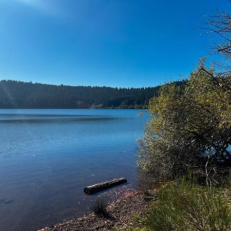 Maison De Campagne بيت للعطل Seneujols